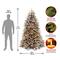 7ft. Pre-Lit Dunhill® Fir Artificial Christmas Tree, Clear Lights